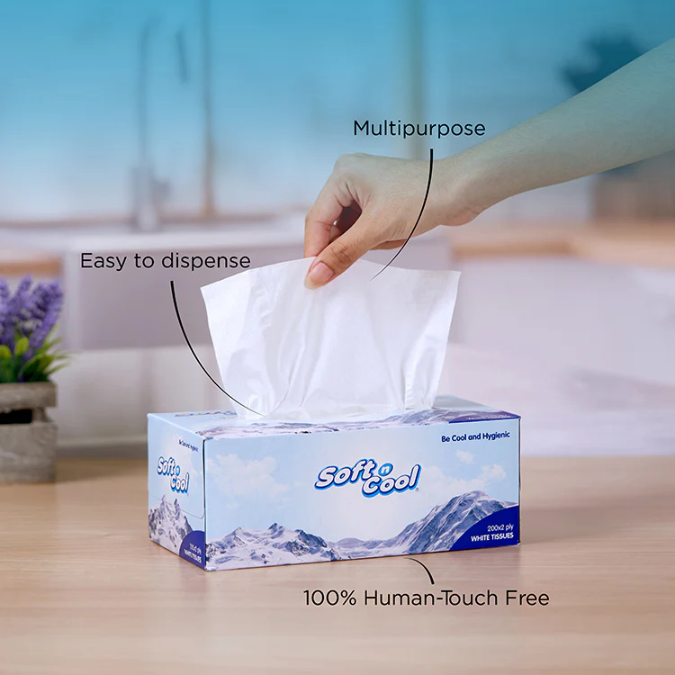 Soft N Cool Facial Tissue 200 X 2 Ply 30 Boxes + 150 X 2 Ply 6 Box - Image 4